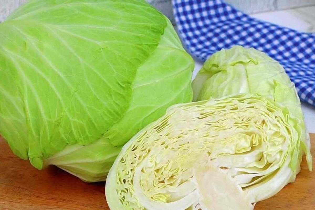 Pengganti Nasi yang Sehat - Kubis Cincang