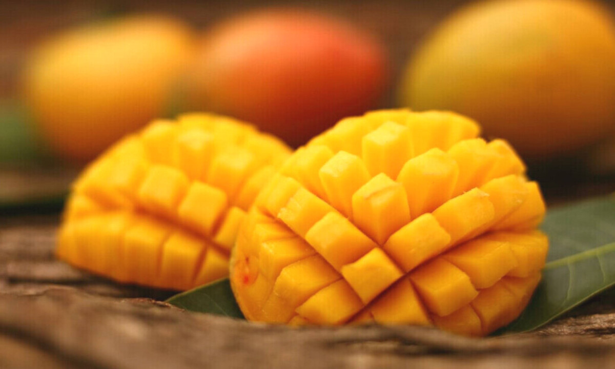 Artikel ini membahas mengenai beberapa manfaat mangga yang sangat baik untuk kesehatan tubuh kita, apa saja ?