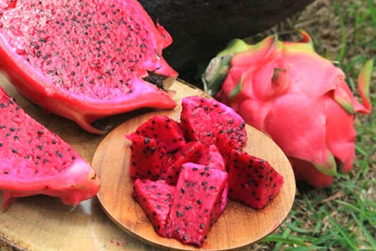 Artikel kali ini membahas mengenai beberapa manfaat buah naga yang sangat baik untuk kesehatan tubuh manusia.