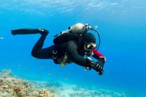 Artikel kali ini membahas tentang tips untuk penyelam pemula untuk pengalaman menyelam scuba pertama Anda.