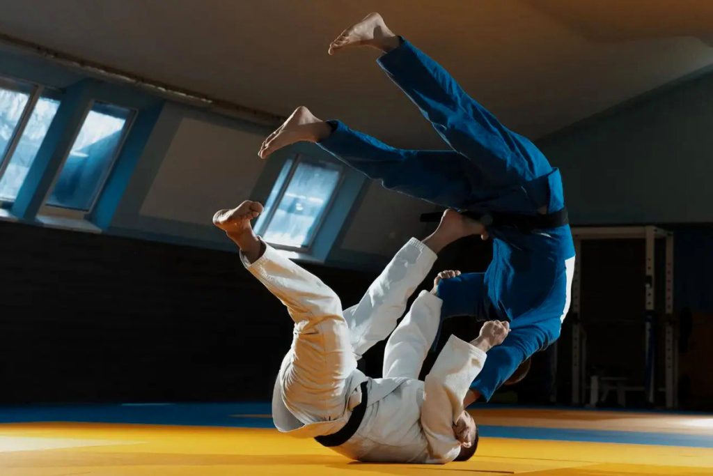 Artikel kali ini membahas mengenai beberapa panduan judo yang mudah dipahami dan harus ditaati terutama untuk pemula.