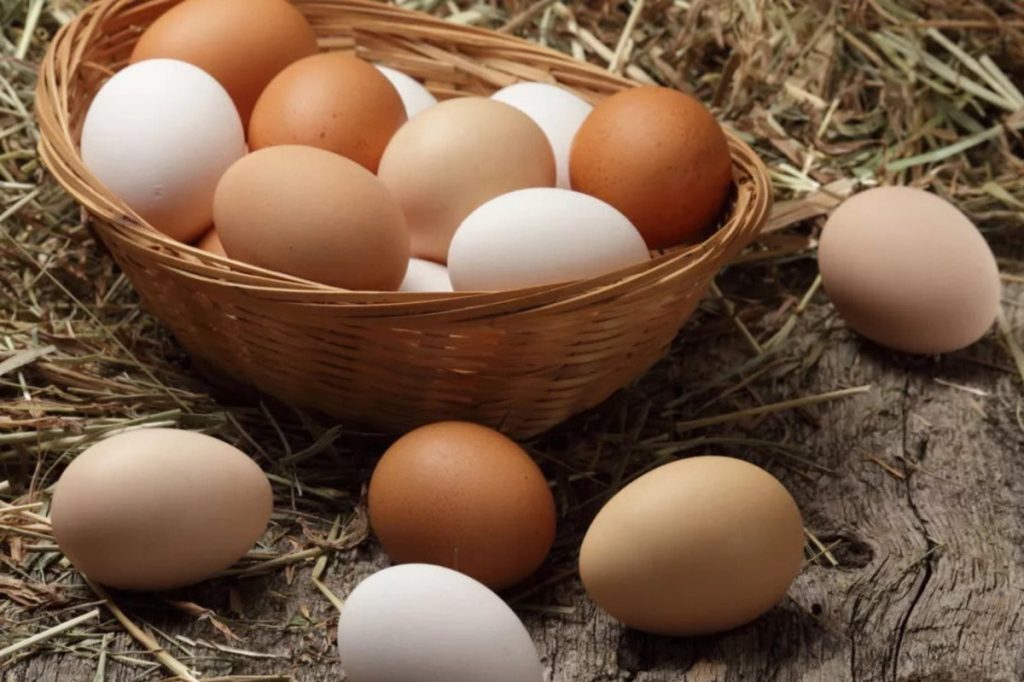 Artikel kali ini membahas mengenai beberapa tips dan cara menyimpan telur dengan baik dan benar agar tetap segar dan awet.